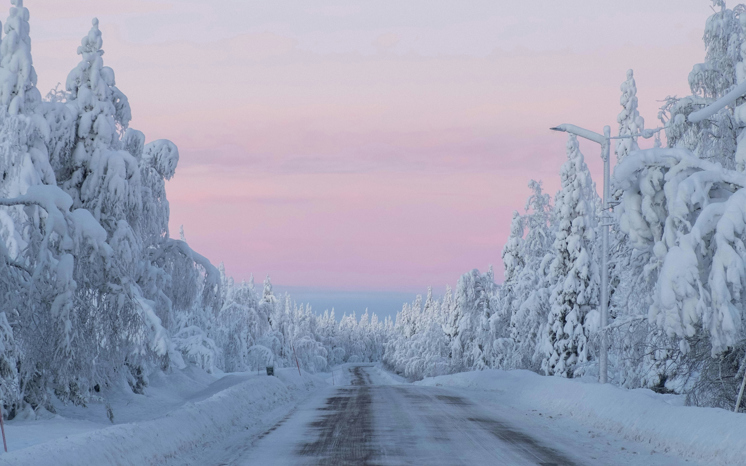 Vinterväg med snötyngda träd längs vägen, rosa himmel.