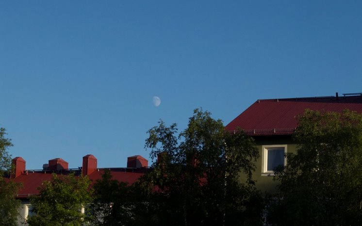 Hyreshus med grönskande träd framför, månen på himlen.