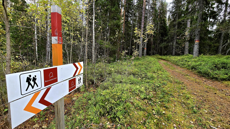 Skylt som markerar Solanderleden, stig som försvinner in i skogen.