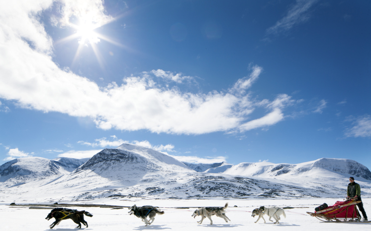 Hundspann i Abisko fjällen / Fredrik Ludvigsson