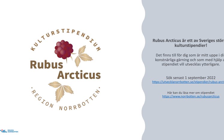 Annons för kulturstipendiet Rubus Arcticus