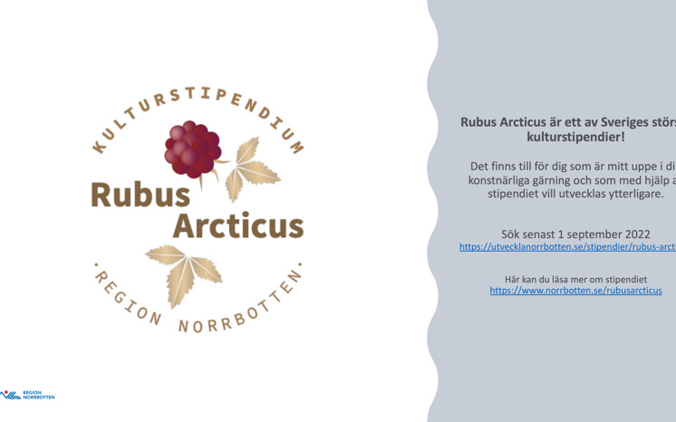 Rubus Arcticus 2022 Board