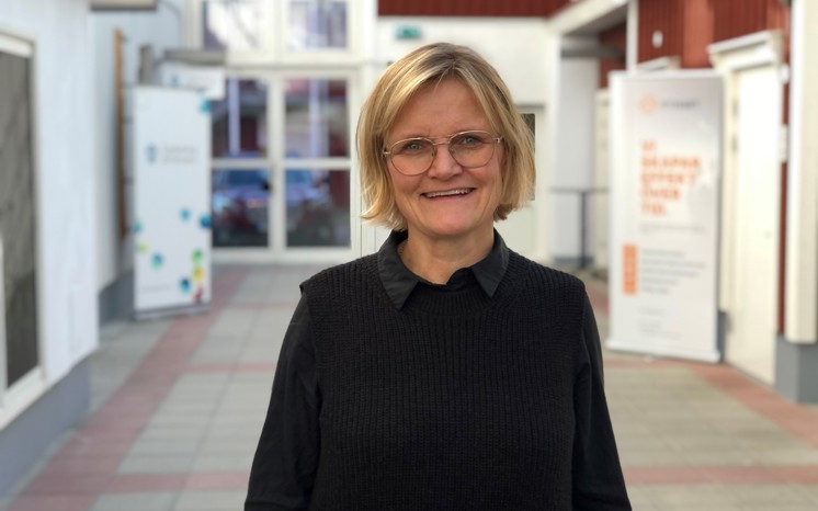 Anna Johansson, Kaunis Iron