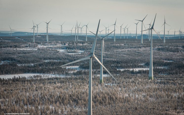 Markbygdens vindkraftspark, Piteå