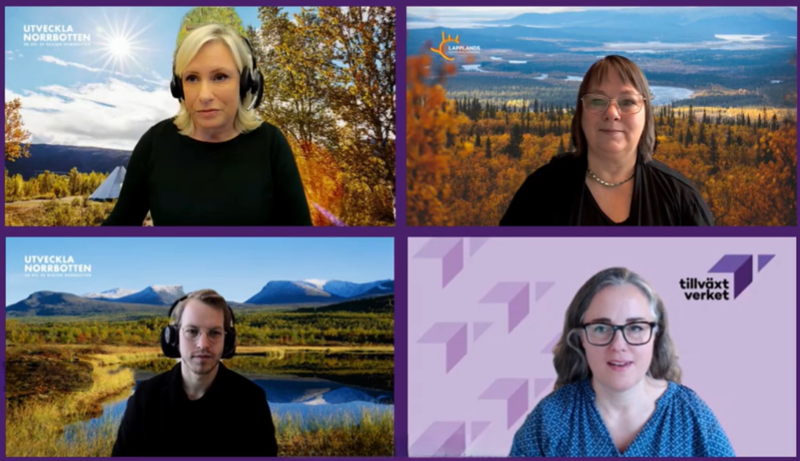 Skärmbild fyra personer som deltar på en digital föreläsning.