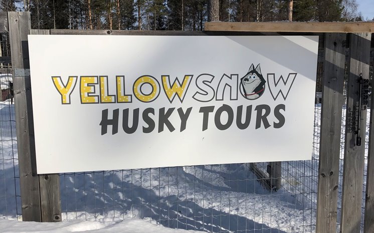 Yellow Snow Husky Tours