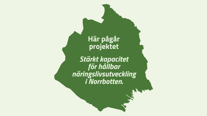 Illustration grön karta Norrbotten